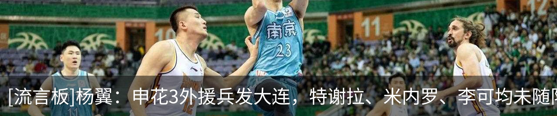 新闻动态